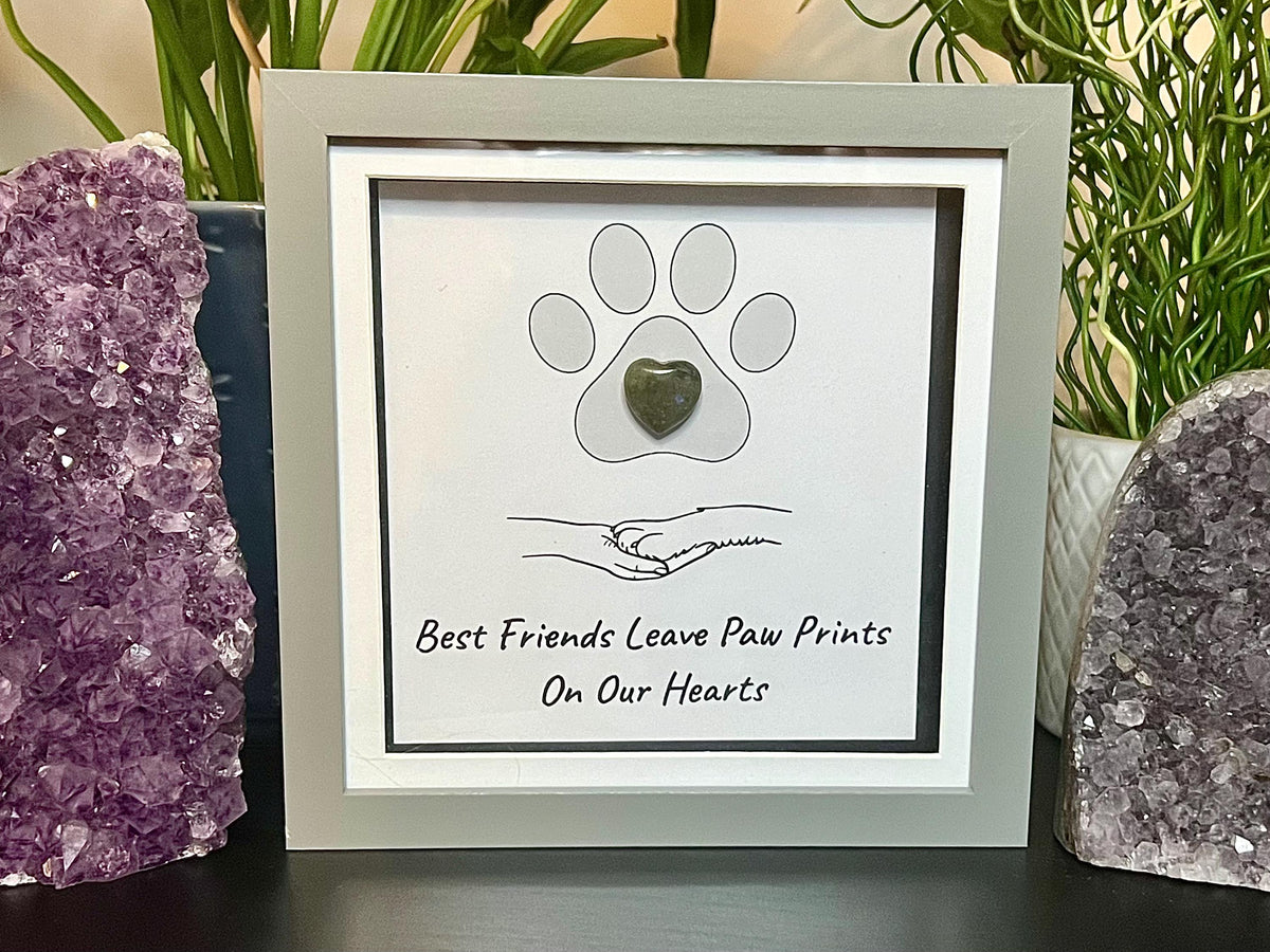Pet Lovers Crystal Wall Art Frame, Dog groomers thank you gift, Cat lovers present, Pet memorial gift idea, Dog walkers Christmas Gift