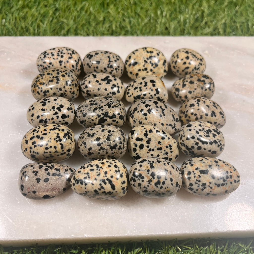 High Quality Large Dalmation Jasper Tumblestones, Large Dalmatian Jasper Crystals, Ethically Sourced, UK Crystals, Crystal Gift, Reiki Stone