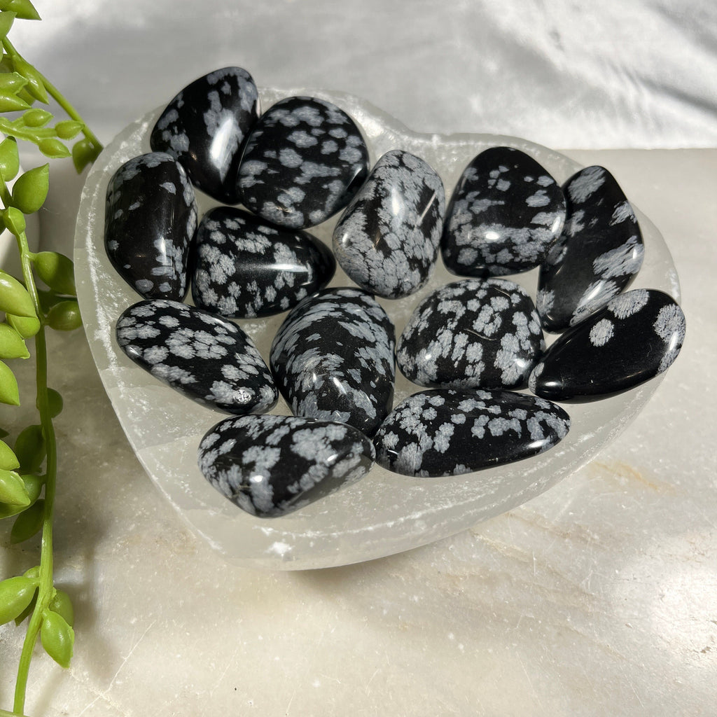 Snowflake Obsidian Tumblestones, High Quality Snowflake Obsidian Crystals, UK Crystals Ethically Sourced , Stress Reliever Gift