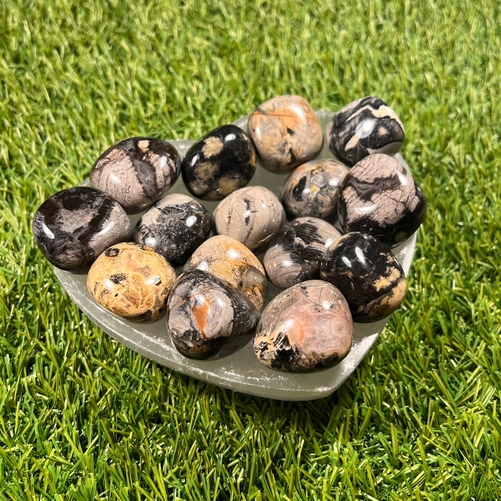 Silver Leaf Jasper Tumblestones, Consciously Sourced UK Crystals