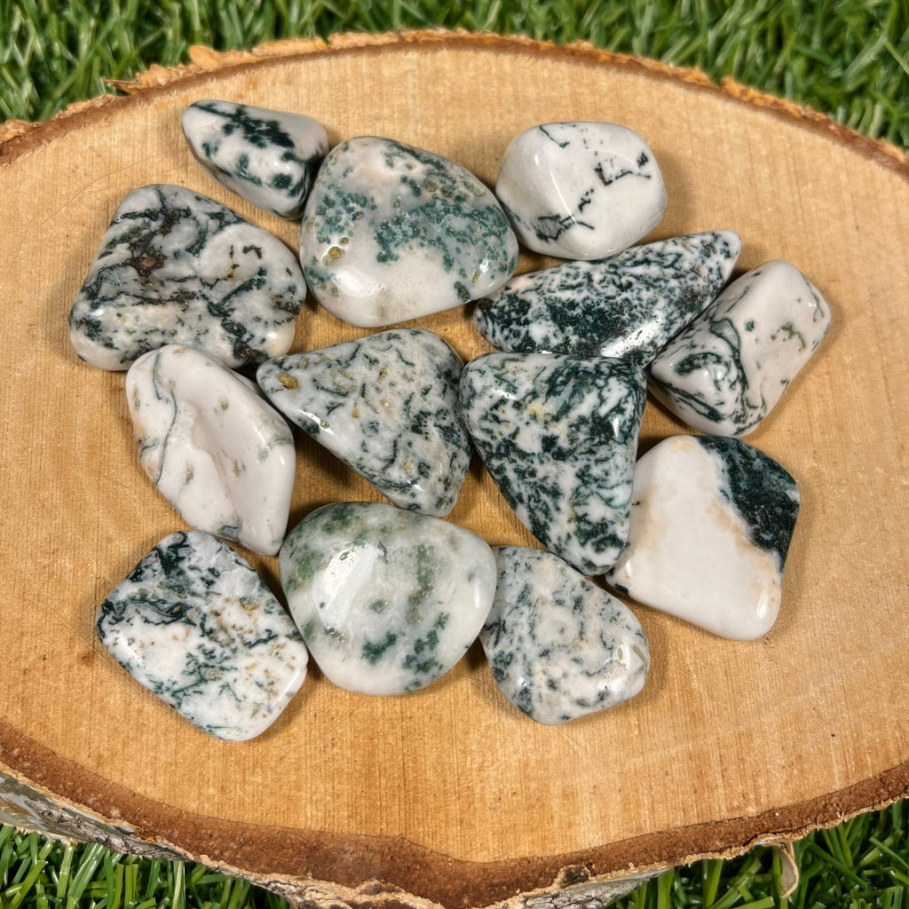 High Quality Tree Agate Crystals, Tree Agate Tumblestones, UK Crystals, Ethically Sourced, Crystal Gift, heart chakra, anti anxiety