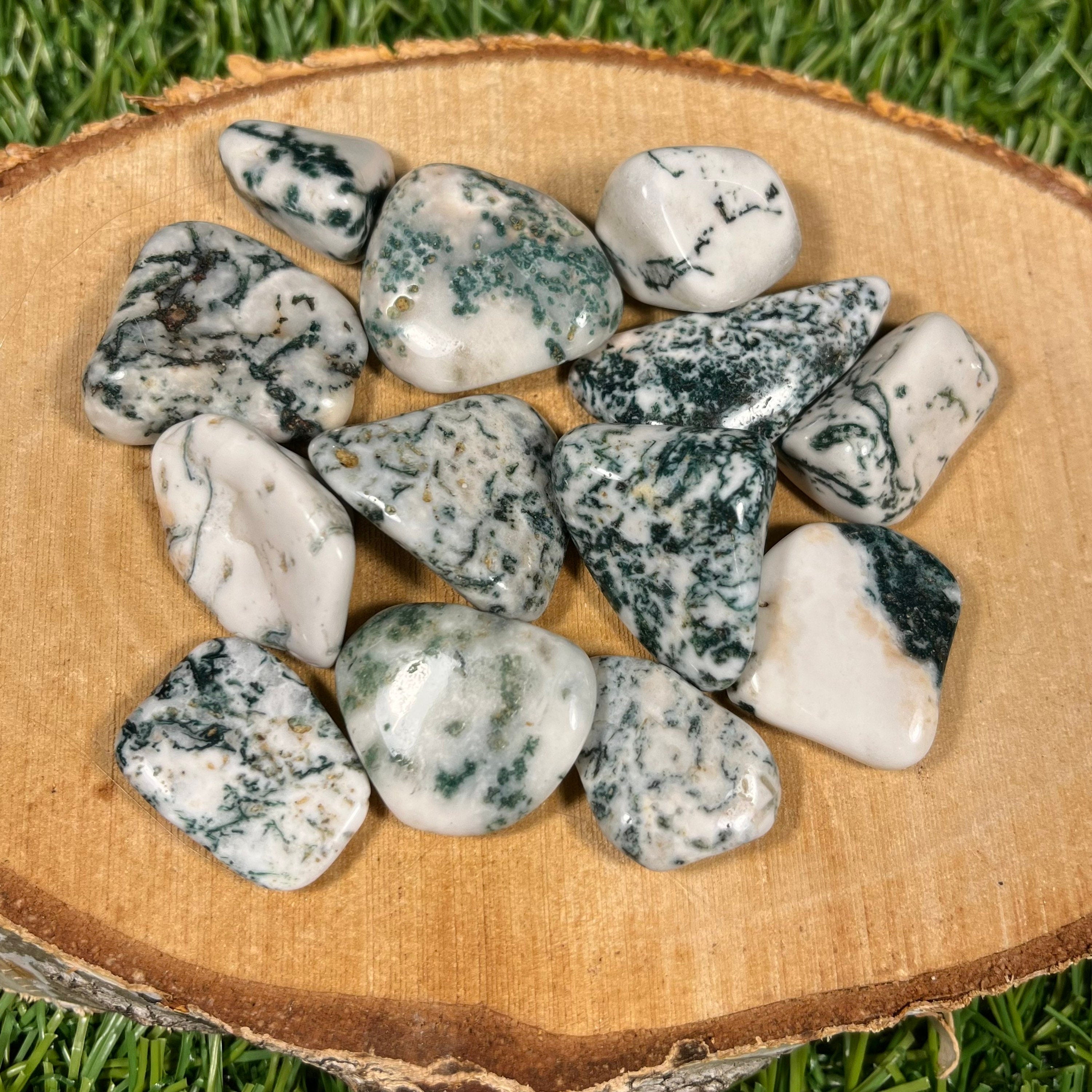 High Quality Tree Agate Crystals, Tree Agate Tumblestones, UK Crystals, Ethically Sourced, Crystal Gift, heart chakra, anti anxiety