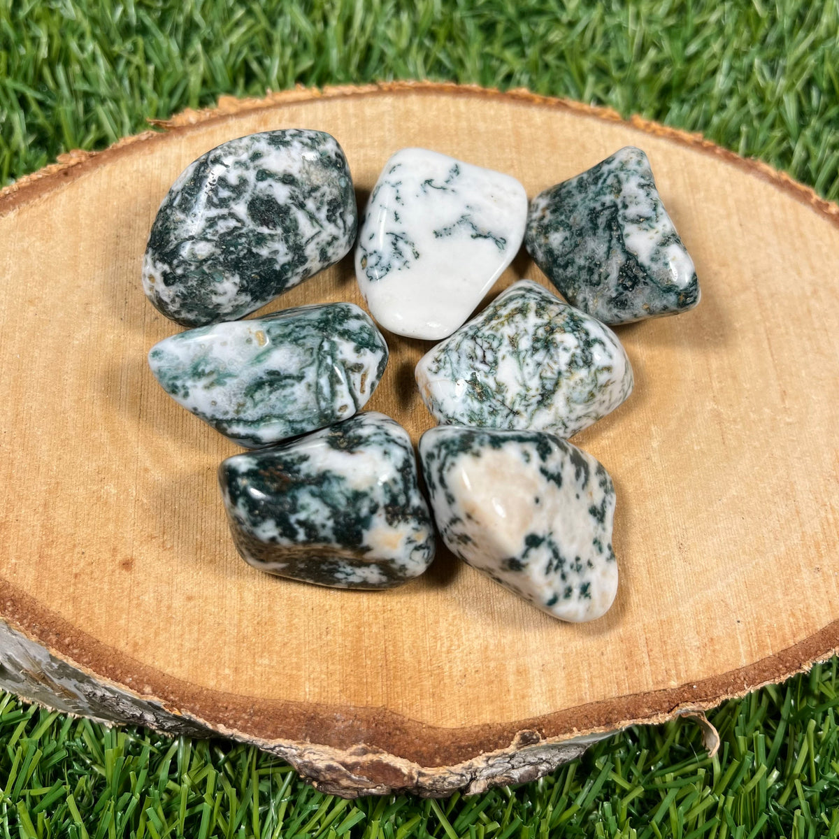 High Quality Tree Agate Crystals, Tree Agate Tumblestones, UK Crystals, Ethically Sourced, Crystal Gift, heart chakra, anti anxiety