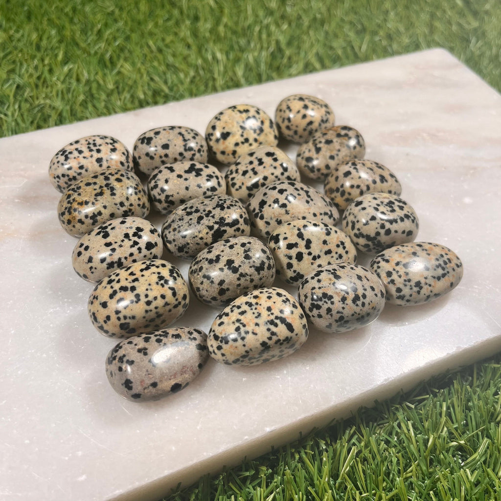 High Quality Large Dalmation Jasper Tumblestones, Large Dalmatian Jasper Crystals, Ethically Sourced, UK Crystals, Crystal Gift, Reiki Stone
