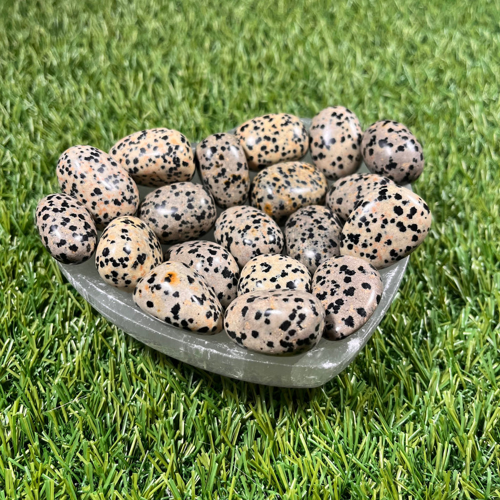 High Quality Large Dalmation Jasper Tumblestones, Large Dalmatian Jasper Crystals, Ethically Sourced, UK Crystals, Crystal Gift, Reiki Stone