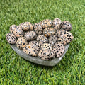 High Quality Large Dalmation Jasper Tumblestones, Large Dalmatian Jasper Crystals, Ethically Sourced, UK Crystals, Crystal Gift, Reiki Stone