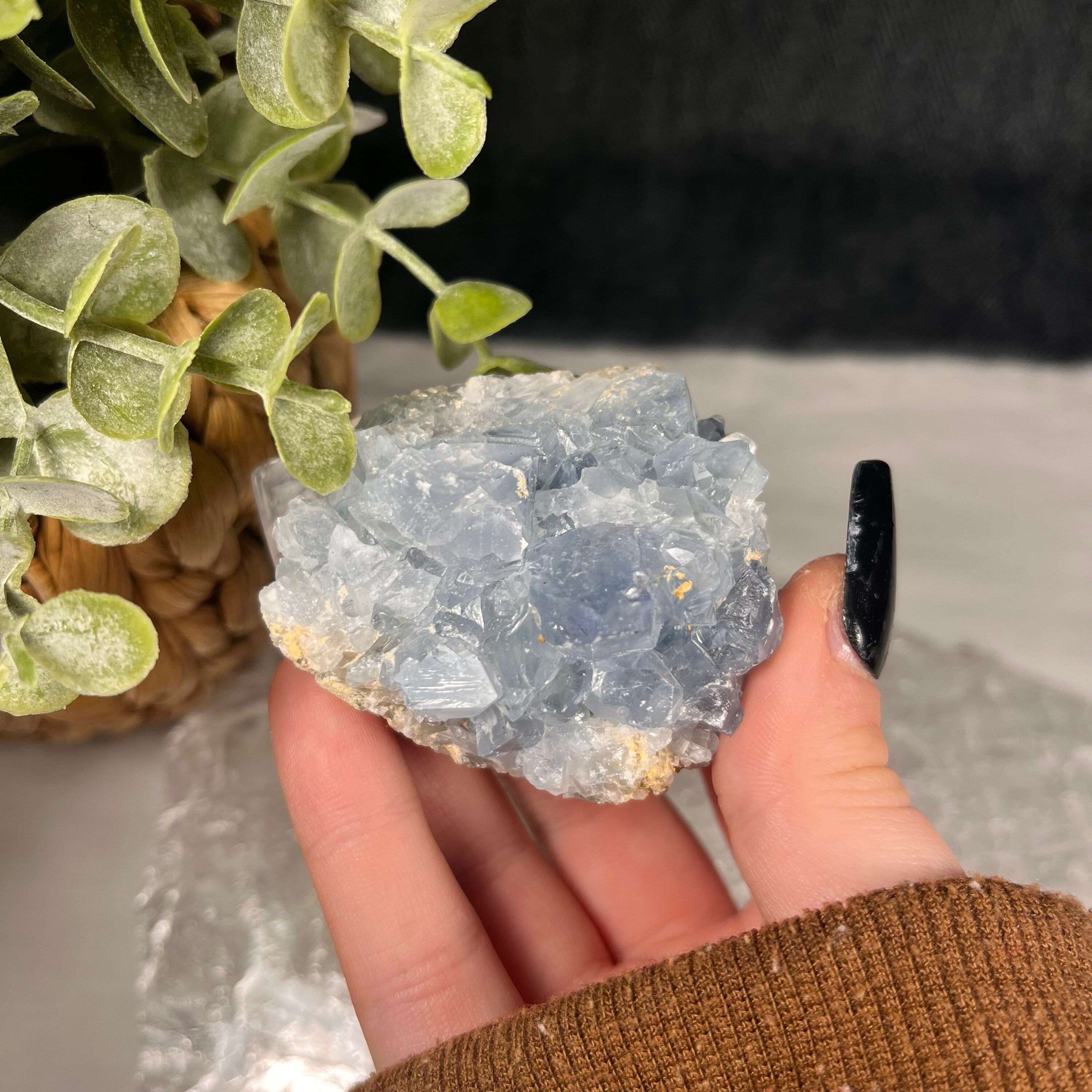 Raw Celestite Clusters, Throat Chakra Healer, Celestite Geodes, Blue Crystals. Consciously Sourced | UK Crystals