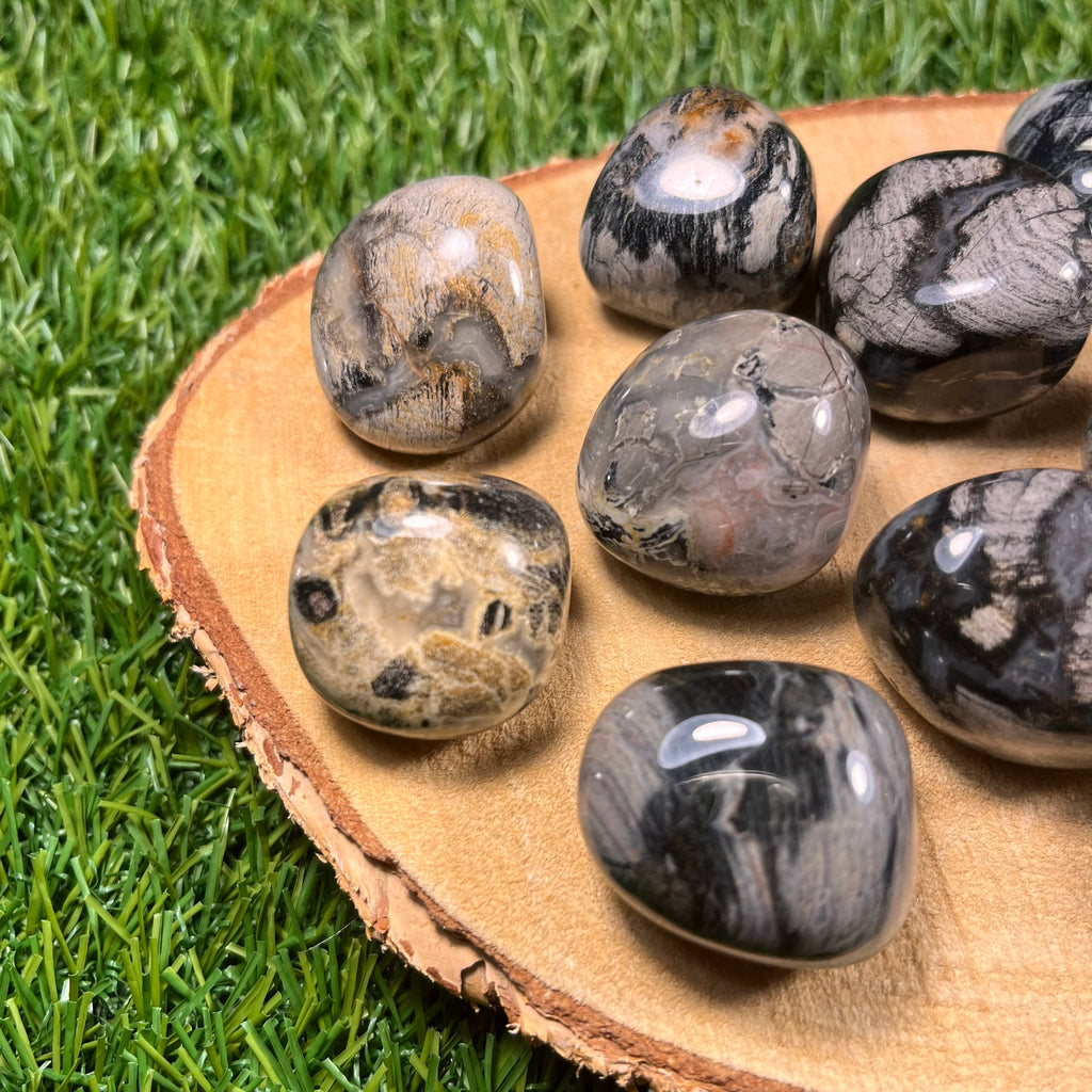 Silver Leaf Jasper Tumblestones, Consciously Sourced UK Crystals