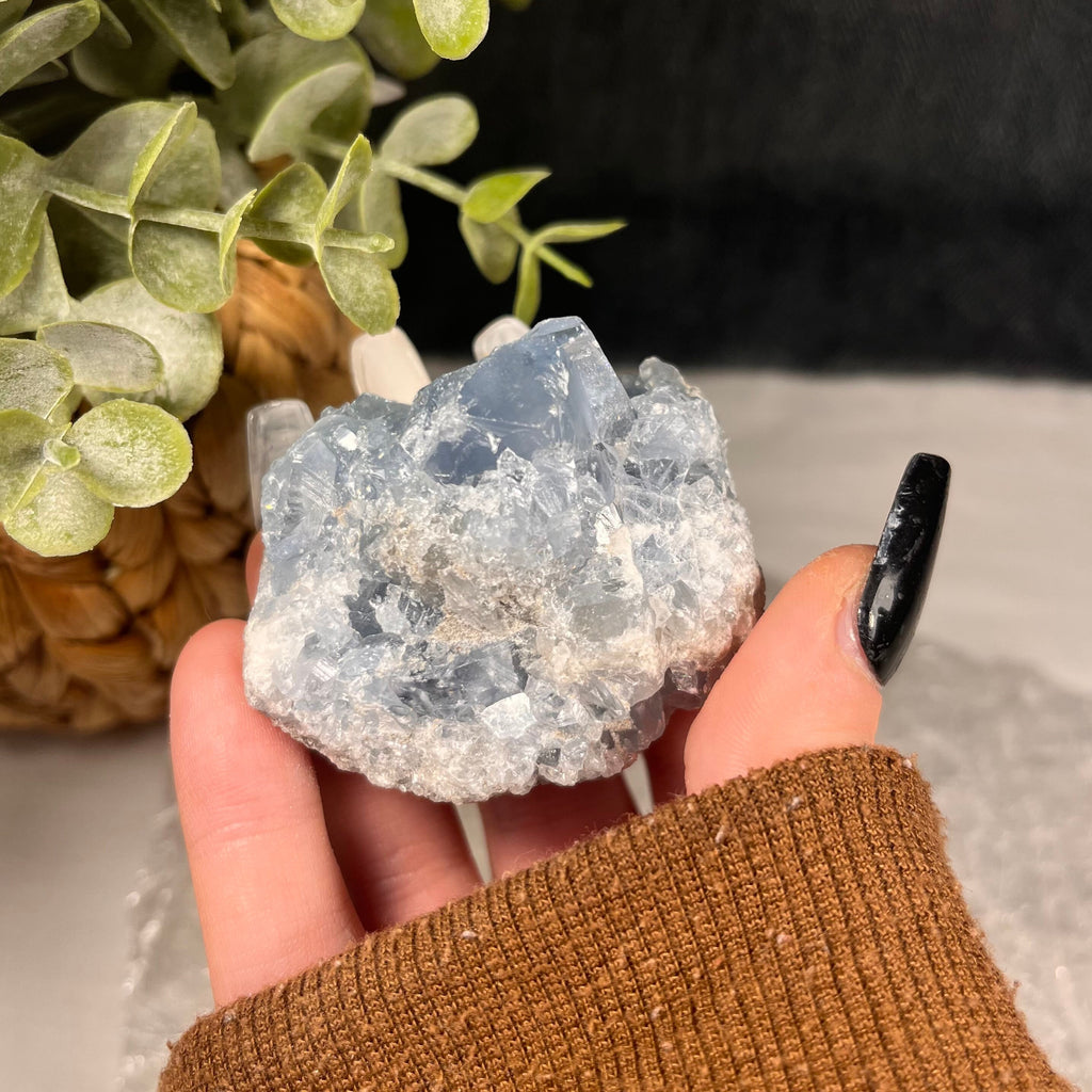 Raw Celestite Clusters, Throat Chakra Healer, Celestite Geodes, Blue Crystals. Consciously Sourced | UK Crystals