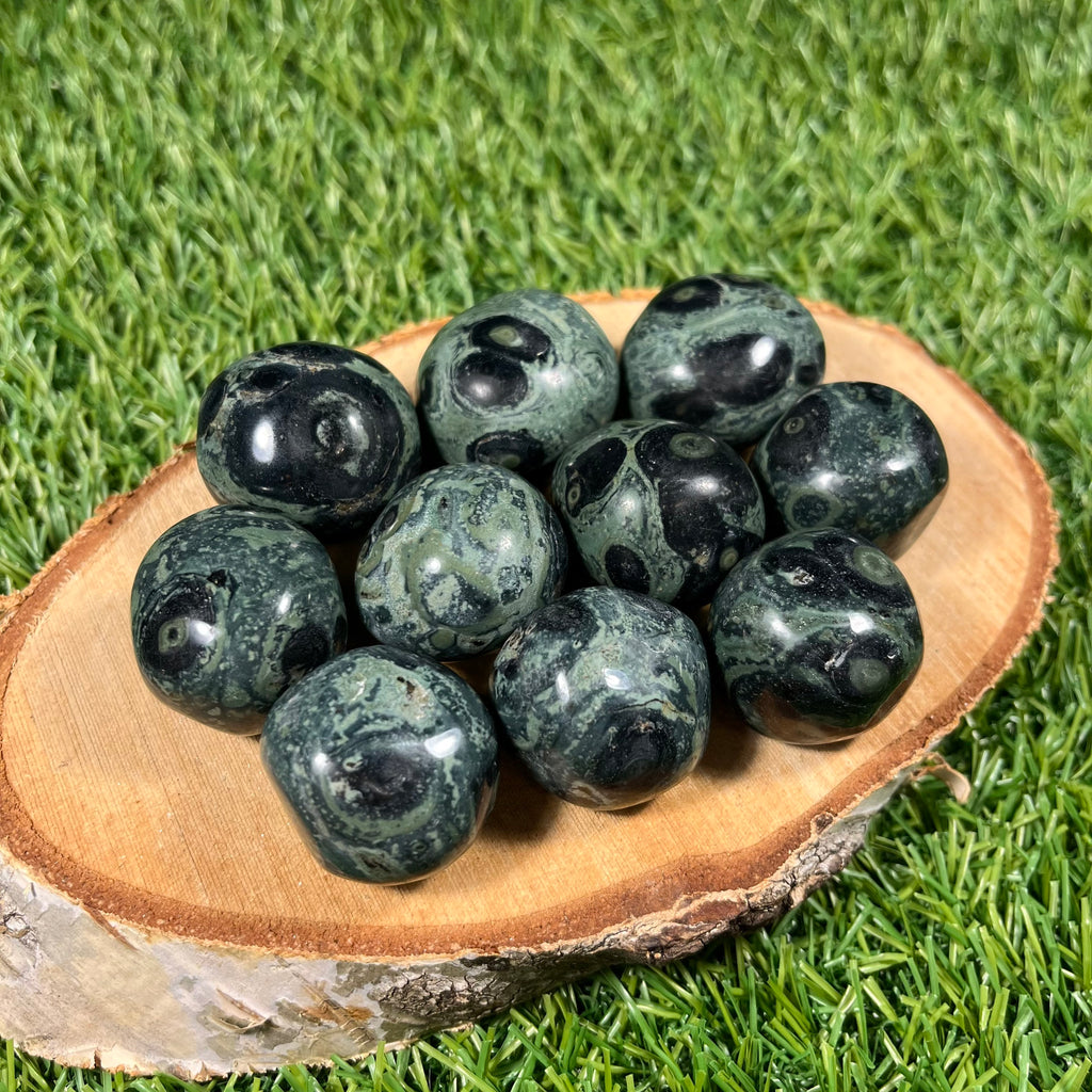 Kambaba Jasper XL Tumbles, Kambaba Jasper Tumblestones, Heart Chakra, Unique Crystals, Large Tumblestones | Consciously Sourced