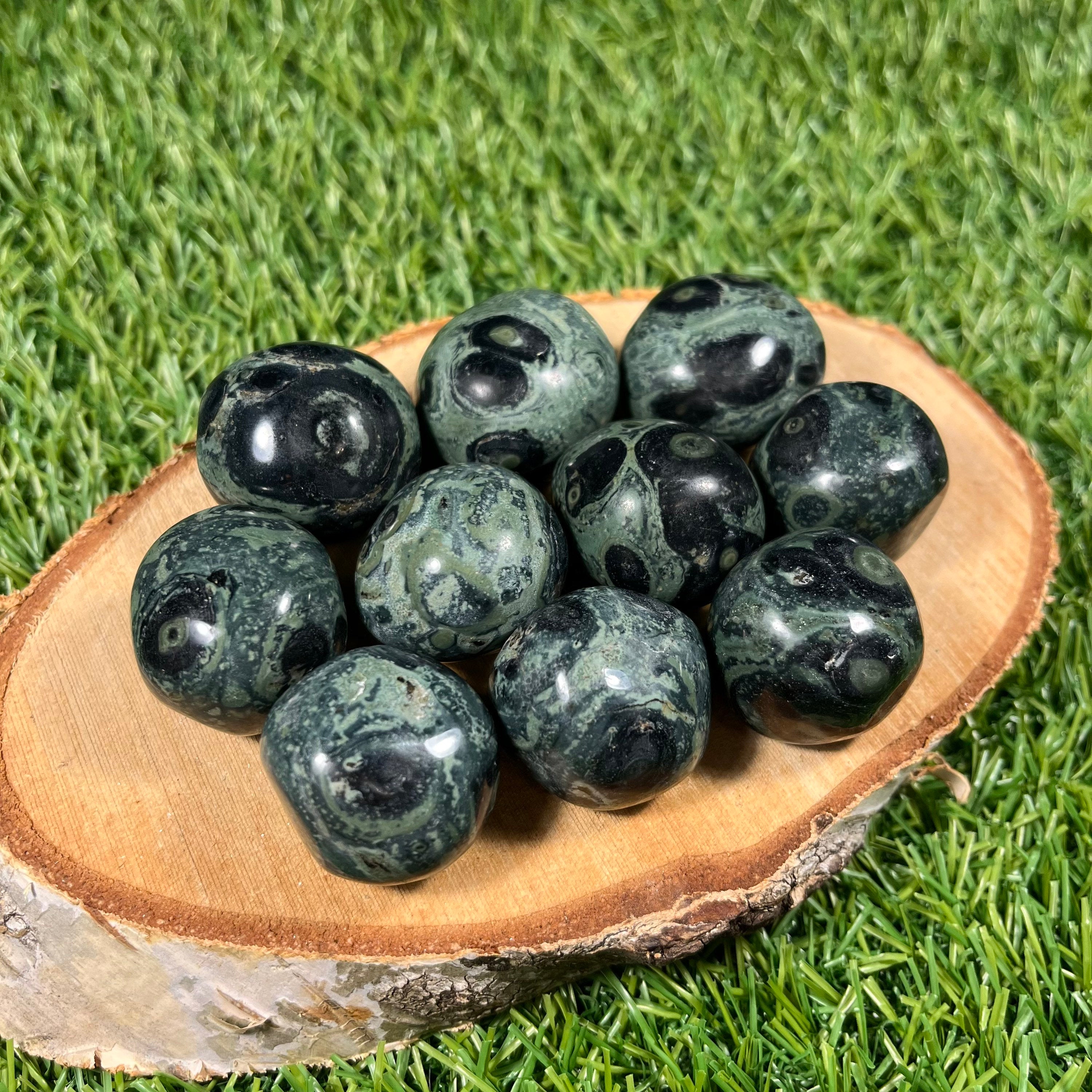 Kambaba Jasper XL Tumbles, Kambaba Jasper Tumblestones, Heart Chakra, Unique Crystals, Large Tumblestones | Consciously Sourced