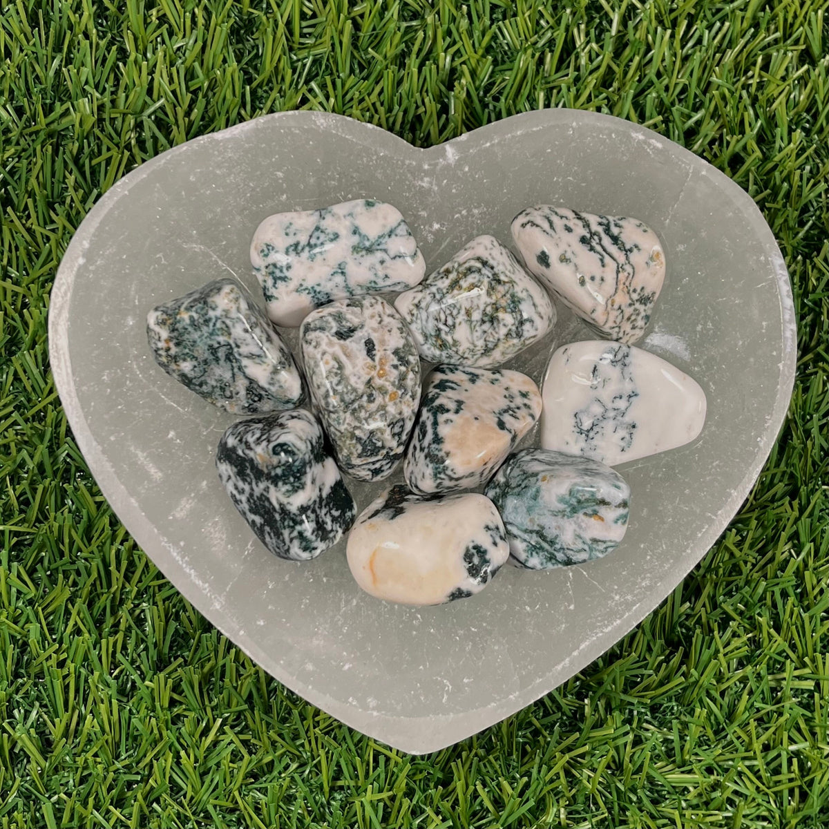 High Quality Tree Agate Crystals, Tree Agate Tumblestones, UK Crystals, Ethically Sourced, Crystal Gift, heart chakra, anti anxiety