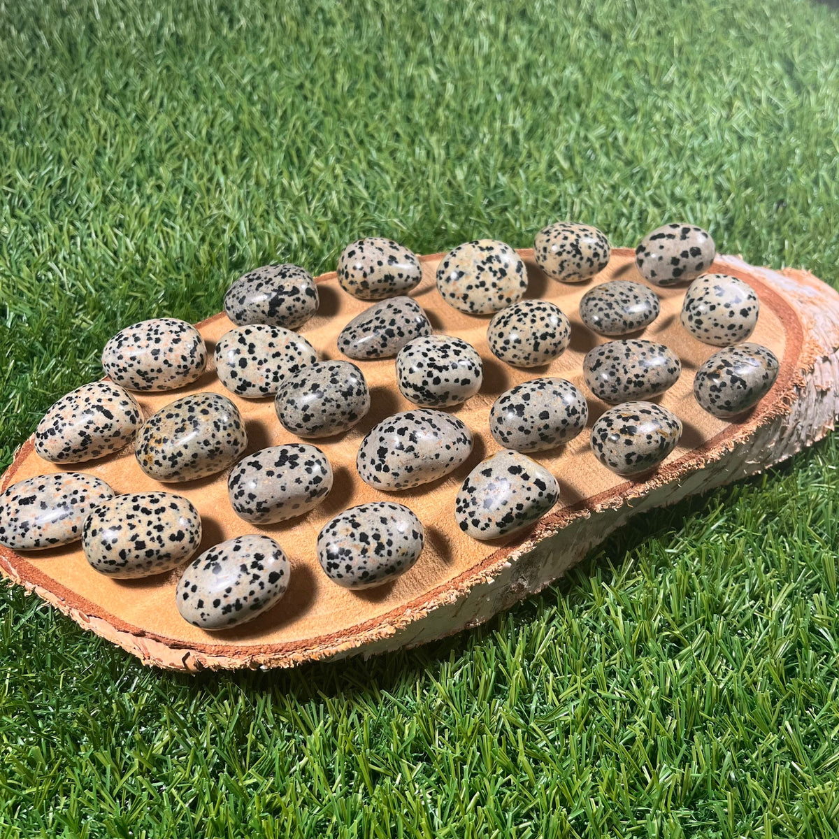 High Quality Large Dalmation Jasper Tumblestones, Large Dalmatian Jasper Crystals, Ethically Sourced, UK Crystals, Crystal Gift, Reiki Stone