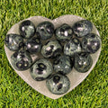 Kambaba Jasper XL Tumbles, Kambaba Jasper Tumblestones, Heart Chakra, Unique Crystals, Large Tumblestones | Consciously Sourced