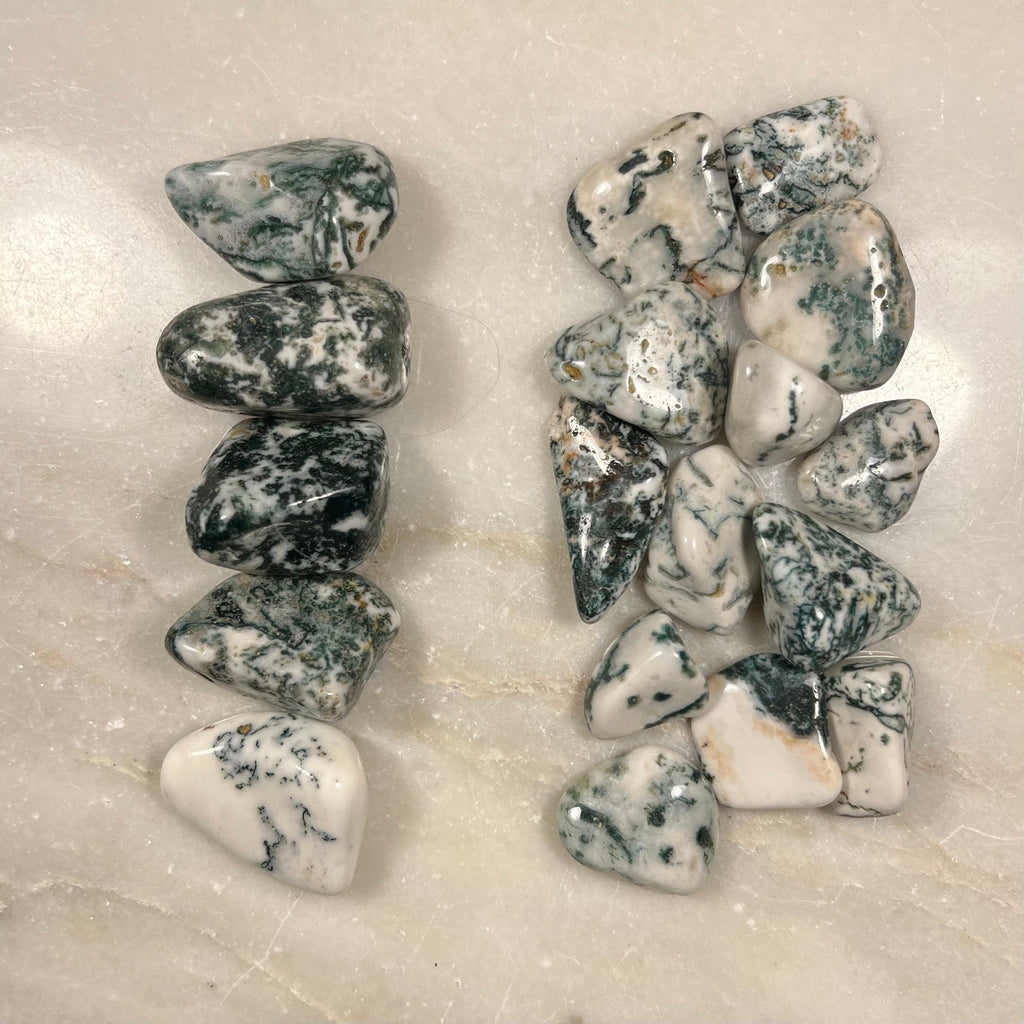 High Quality Tree Agate Crystals, Tree Agate Tumblestones, UK Crystals, Ethically Sourced, Crystal Gift, heart chakra, anti anxiety