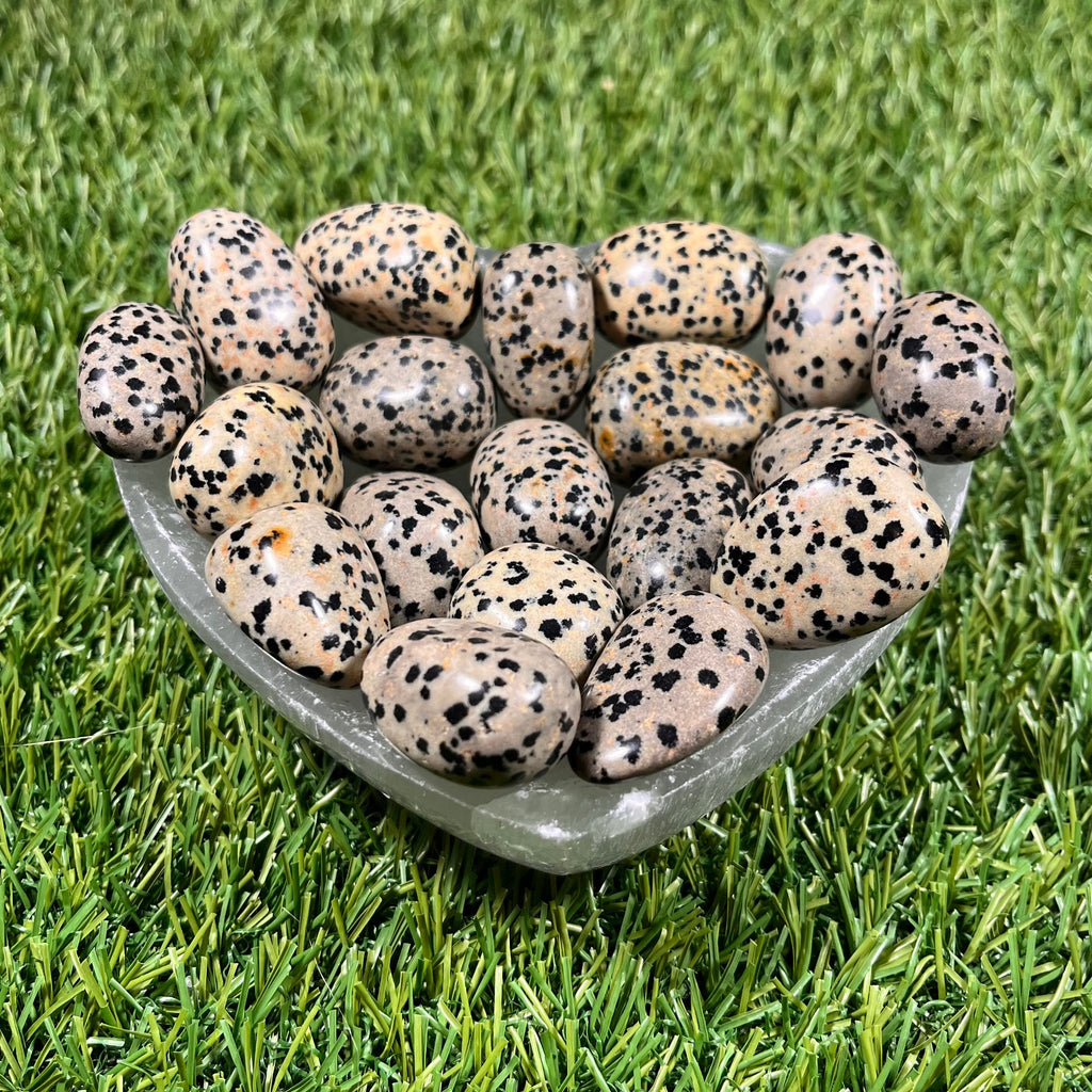 High Quality Large Dalmation Jasper Tumblestones, Large Dalmatian Jasper Crystals, Ethically Sourced, UK Crystals, Crystal Gift, Reiki Stone