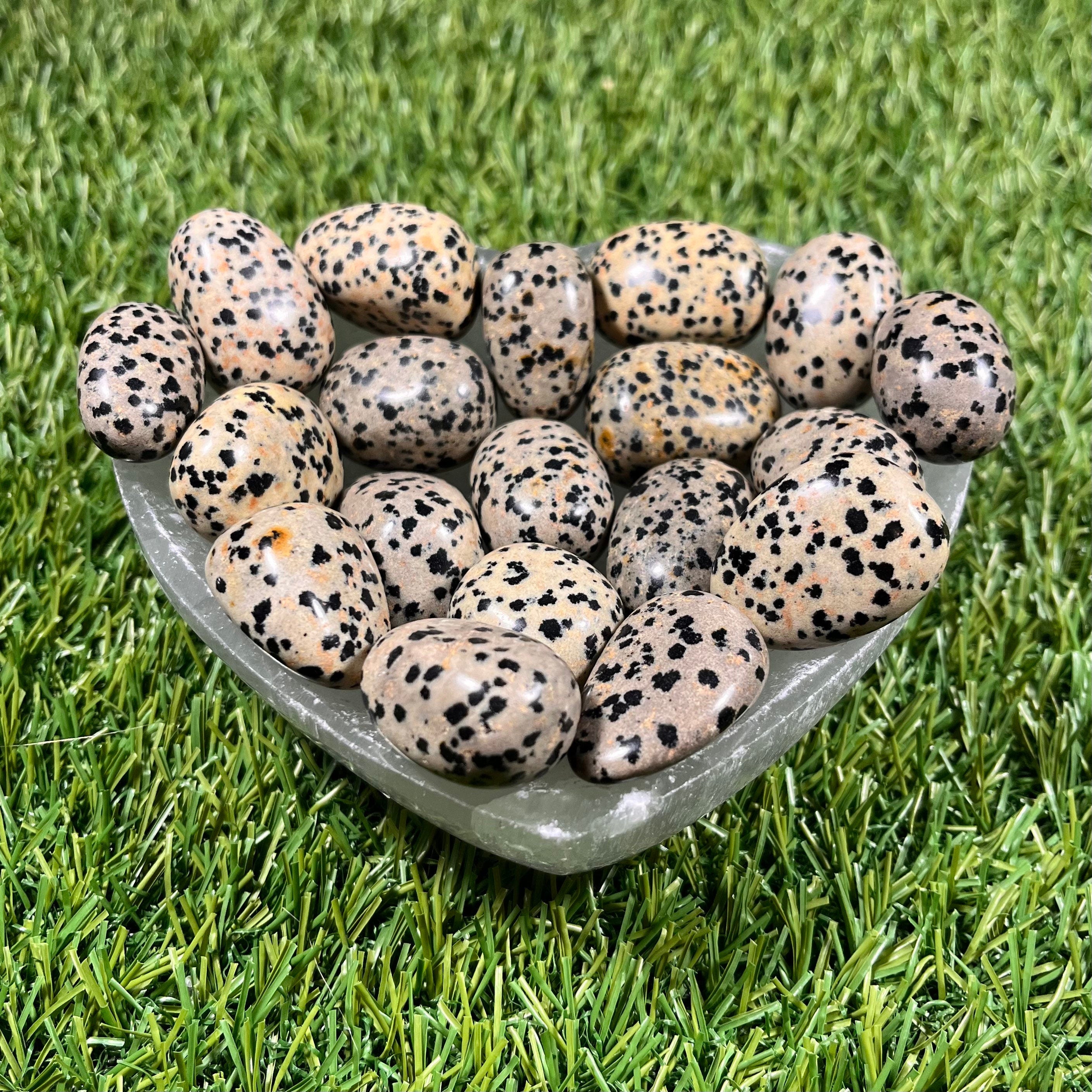 High Quality Large Dalmation Jasper Tumblestones, Large Dalmatian Jasper Crystals, Ethically Sourced, UK Crystals, Crystal Gift, Reiki Stone