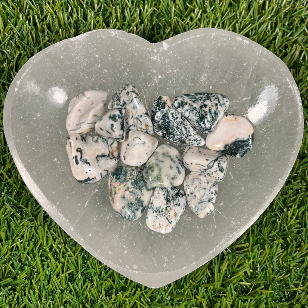 High Quality Tree Agate Crystals, Tree Agate Tumblestones, UK Crystals, Ethically Sourced, Crystal Gift, heart chakra, anti anxiety