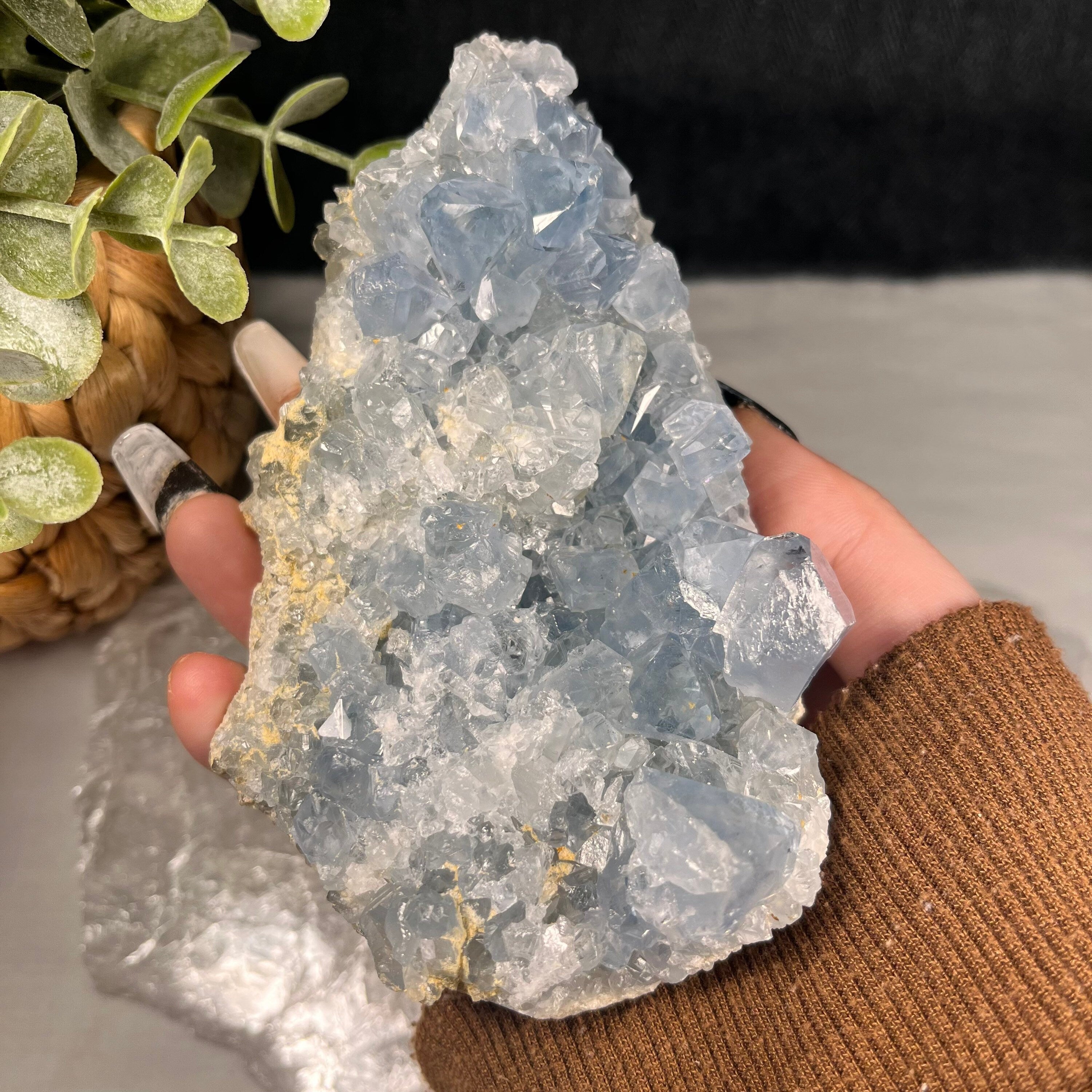 Raw Celestite Clusters, Throat Chakra Healer, Celestite Geodes, Blue Crystals. Consciously Sourced | UK Crystals