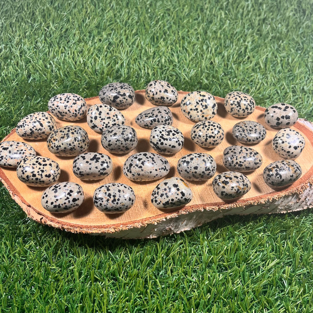 High Quality Large Dalmation Jasper Tumblestones, Large Dalmatian Jasper Crystals, Ethically Sourced, UK Crystals, Crystal Gift, Reiki Stone