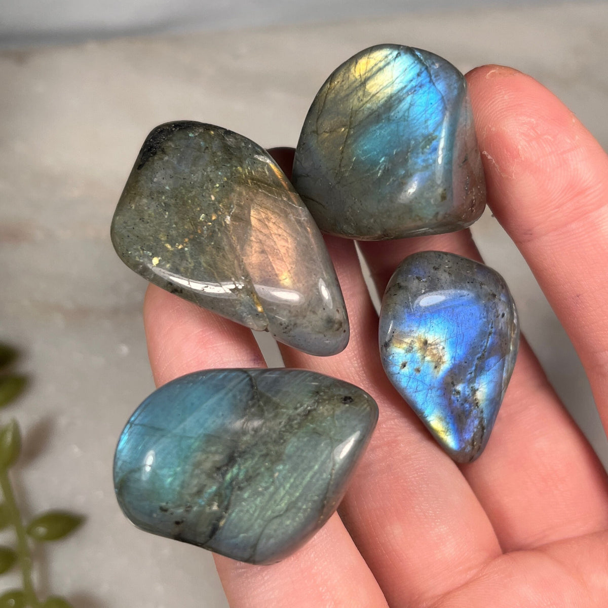 Labradorite Tumblestones, Size Options, Consciously Sourced UK Crystals