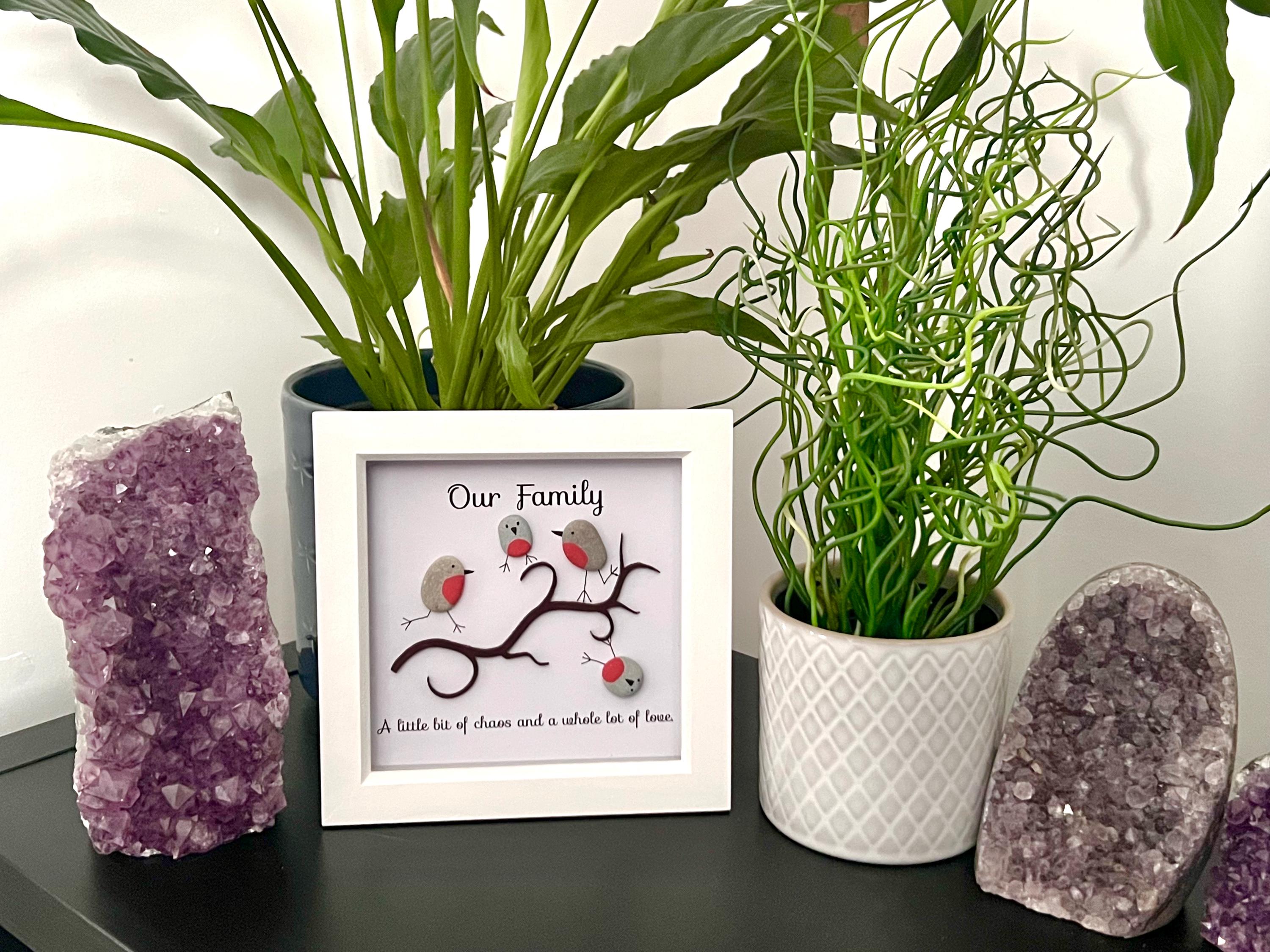 Personalised hand painted Robins, Family Pebble Art Frame, Wall art gift for Dad, Bird lovers present for Grandma, Mothers Day gift for Mum